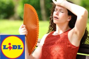 caldo
