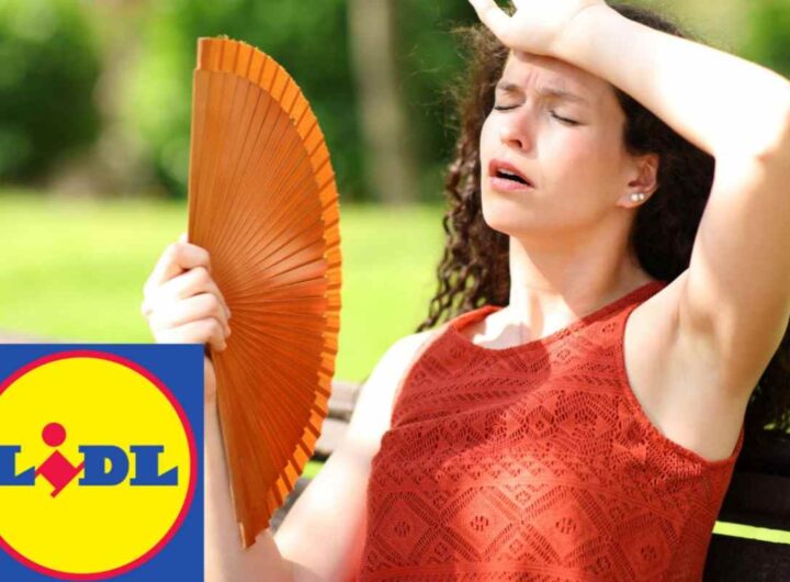 caldo