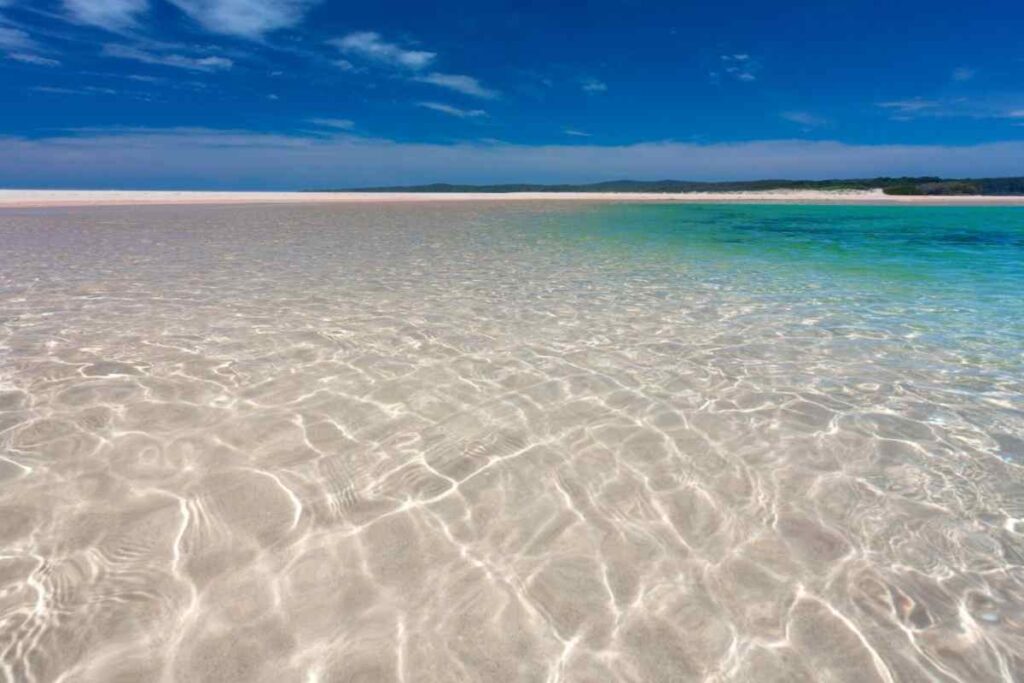 mare