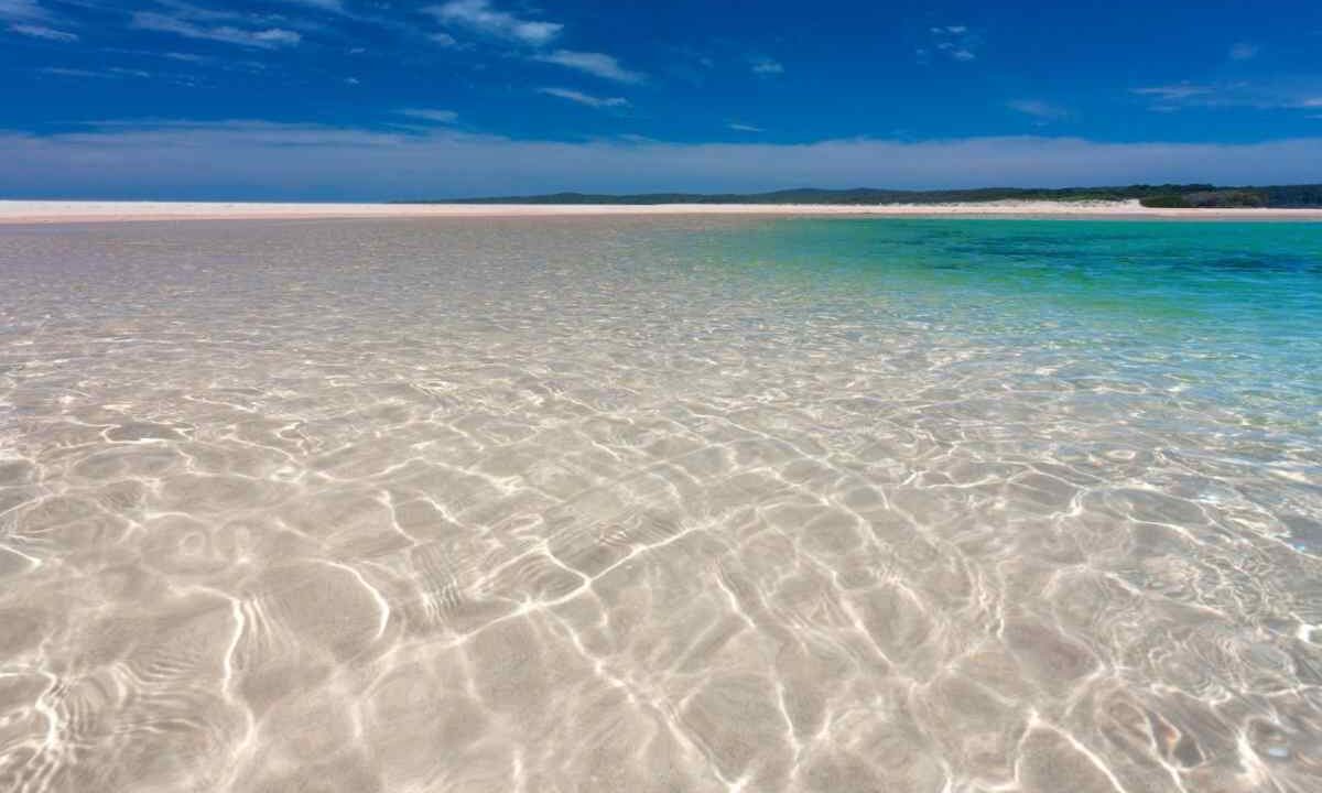 mare
