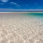 mare
