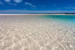 mare