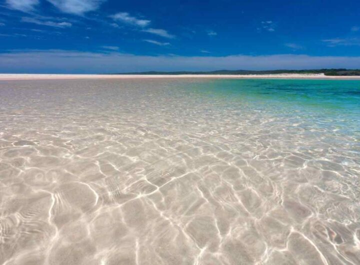 mare