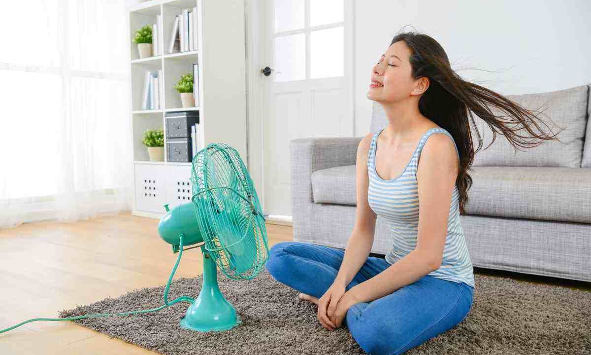Con 0 euro e un po’ d’ingegno ti fai il ventilatore perfetto per sopravvivere al caldo estremo